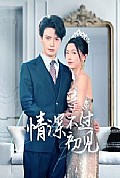 《情深不过初见》封面