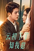 《云初了了知我意》封面