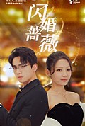《闪婚蔷薇》封面