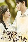 《分手后，前女友惊艳归来》封面