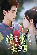 《镜花水月共白首》封面