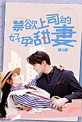 《禁欲上司的好孕甜妻第二部》封面