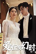 《爱在变幻时》封面