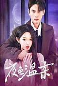 《夜色温柔》封面