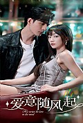 《爱意随风起》封面