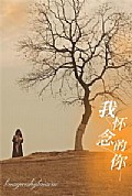 《我怀念的你》封面