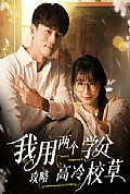 《我用两个学分攻略高冷校草》封面