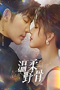《温柔野骨》封面