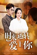 《时来运转爱上你》封面