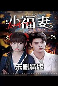 《小福妻》封面