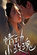 《情动小玫瑰》封面