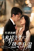 《红毯热吻和祁先生热恋升温》封面