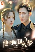 《他似晚风入梦》封面