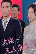 《大佬夫人来实习》封面