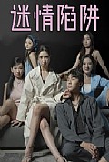 《迷情陷阱》封面