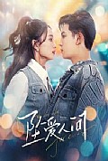 《坠爱人间》封面