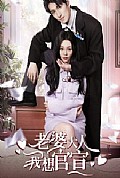 《老婆大人我想官宣》封面