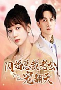 《闪婚总裁老公宠翻天》封面