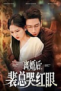 《离婚后裴总哭红眼》封面