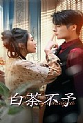 《白茶不予》封面