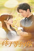 《终于等到你$你是我的木槿年华》封面
