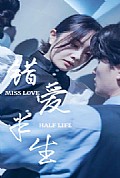《错爱半生66集》封面