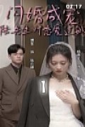 《闪婚成宠，陆先生对恋爱过敏》封面