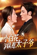 《小白花误惹太子爷》封面