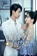 《顾少要夺妻谁也拦不住》封面