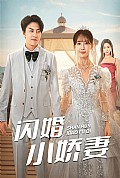 《闪婚小娇妻》封面