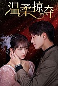 《温柔掠夺》封面