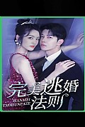 《完美逃婚法则》封面