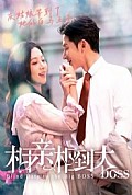 《相亲相到大boss》封面