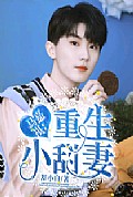 《重生小甜妻 长篇版》封面