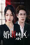 《婚姻禁区》封面