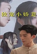 《独宠小娇妻》封面