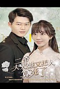 《二爷，夫人又把人算死了》封面