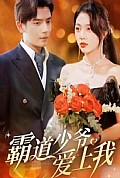《霸道少爷爱上我》封面