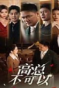 《高总不可以》封面