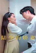 《陆少的娇妻》封面