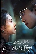 《傅先生别追了,大小姐是假的》封面