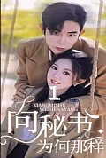 《向秘书为何那样》封面