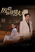 《厉总，你找错夫人了》封面