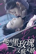 《他的黑玫瑰又疯又娇》封面
