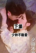 《少帅不敢爱》封面