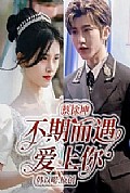 《不期而遇爱上你》封面