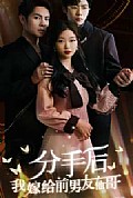 《分手后我嫁给前男友他哥》封面