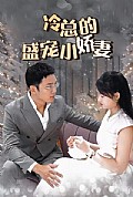 《冷总的盛宠小娇妻》封面