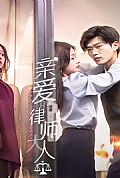 《亲爱的律师大人》封面