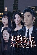 《我的秘书为什么这样》封面